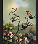 Ruby Throat of North America by Martin Johnson Heade